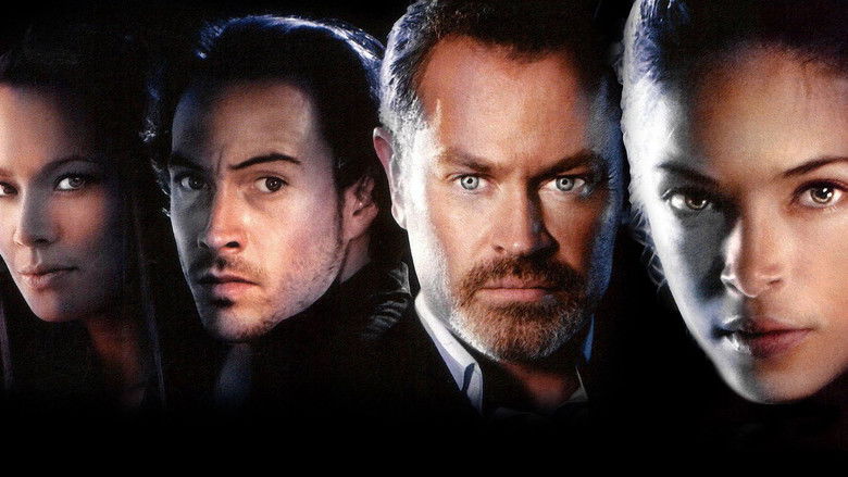 кадр из фильма Уличный боец