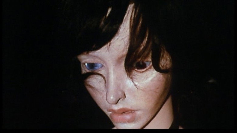 кадр из фильма Film sur Hans Bellmer