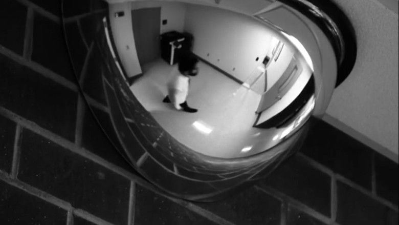 кадр из фильма The Cat Photo