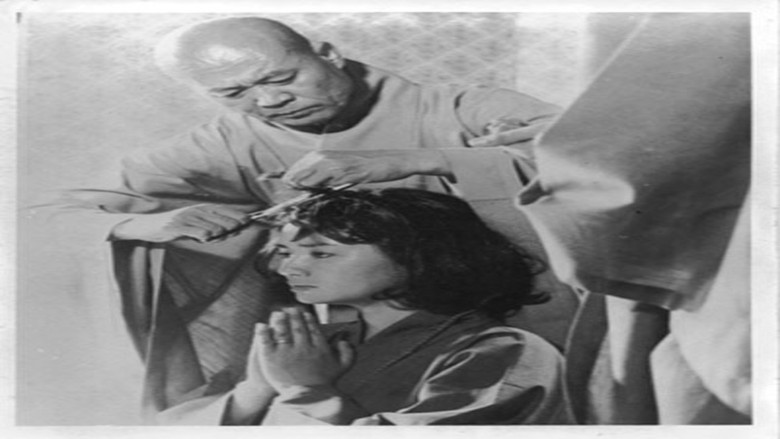 кадр из фильма 땜장이 아내