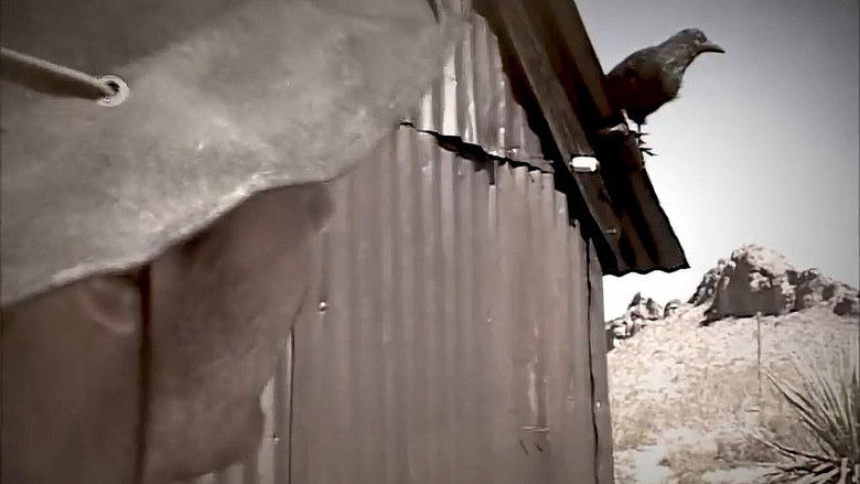 кадр из фильма Roland Meets Brown