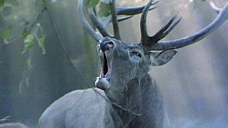 кадр из фильма Poslednja oaza