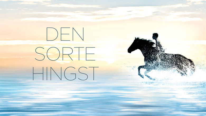 кадр из фильма Черный скакун