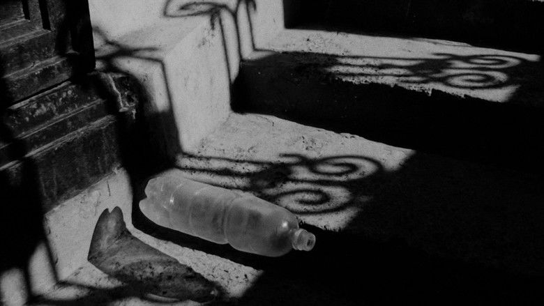 кадр из фильма Лестничный танец пластиковой бутылки