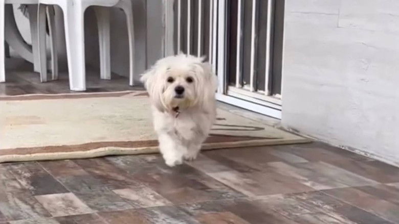 кадр из фильма تاکسی و کمی ضایعات