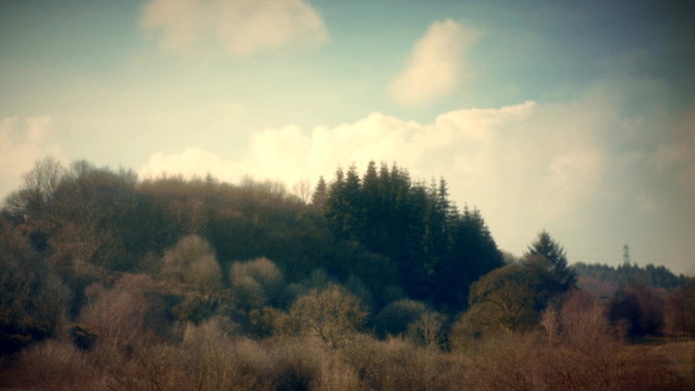 кадр из фильма Skin