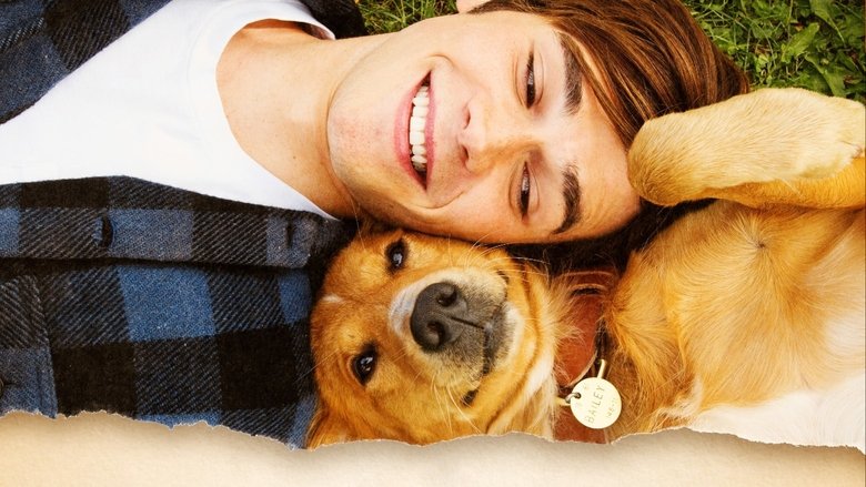 кадр из фильма Собачья жизнь