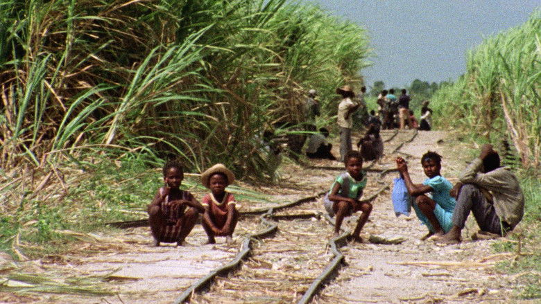 кадр из фильма Canne amère