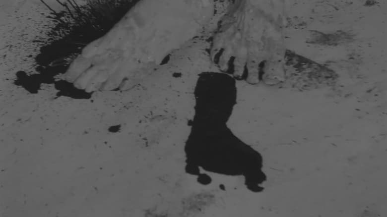 кадр из фильма Ｏ氏の肖像