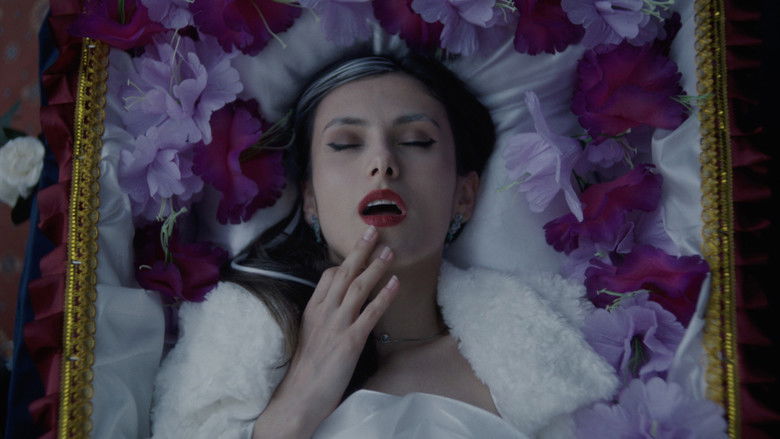 кадр из фильма Гроботерапия