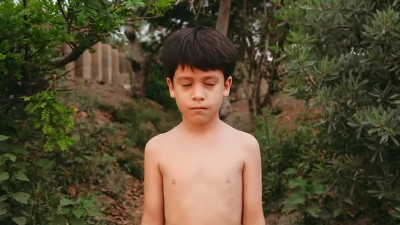 кадр из фильма Verano