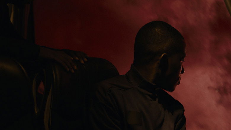 кадр из фильма Conference of the Birds