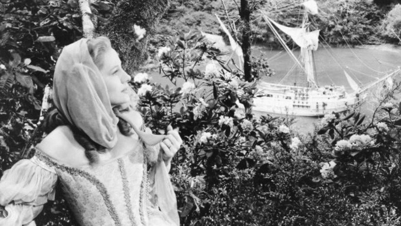 кадр из фильма Бухта пирата