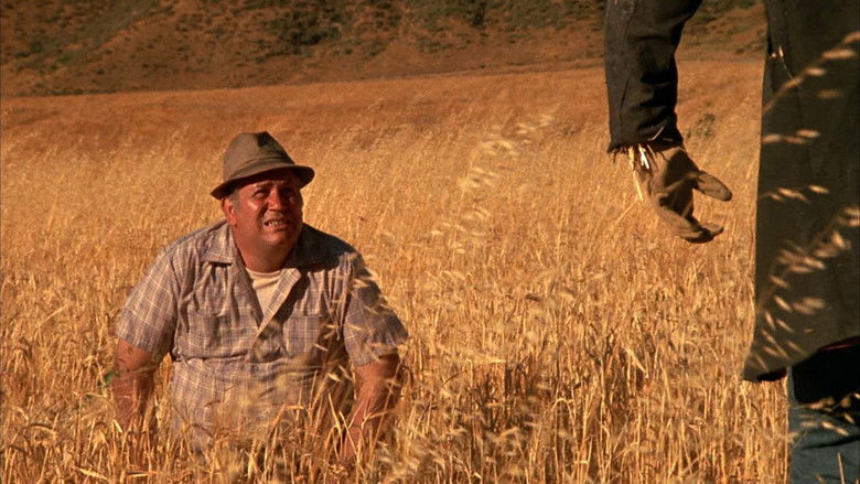 кадр из фильма Темная ночь пугала