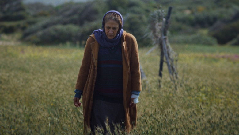 кадр из фильма ماء العين