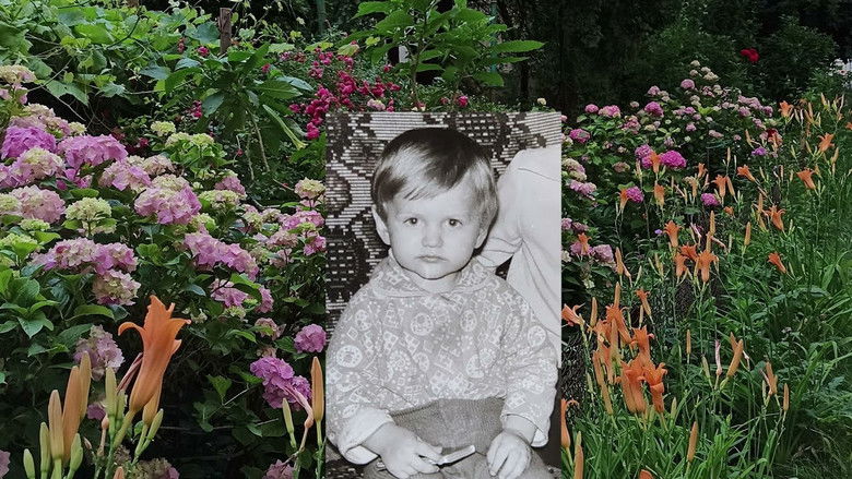 кадр из фильма Мир і спокій