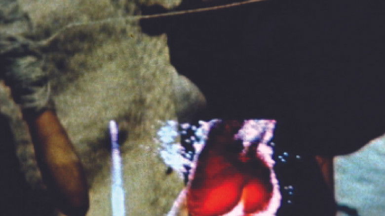 кадр из фильма Soft Shoe