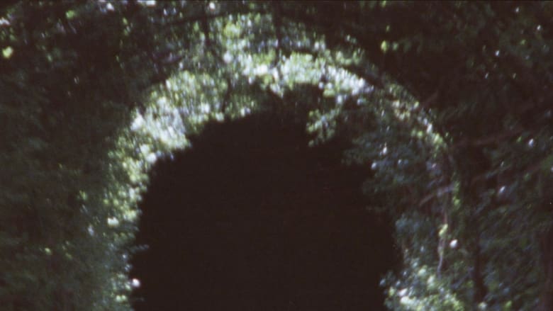 кадр из фильма Amor