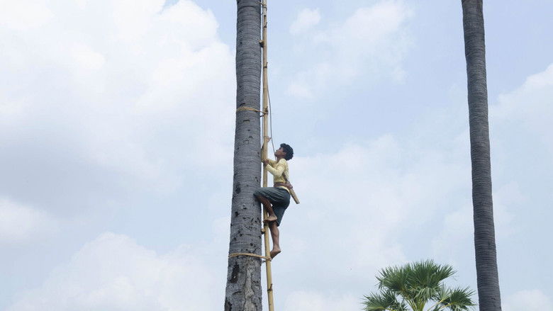 кадр из фильма Плавучесть