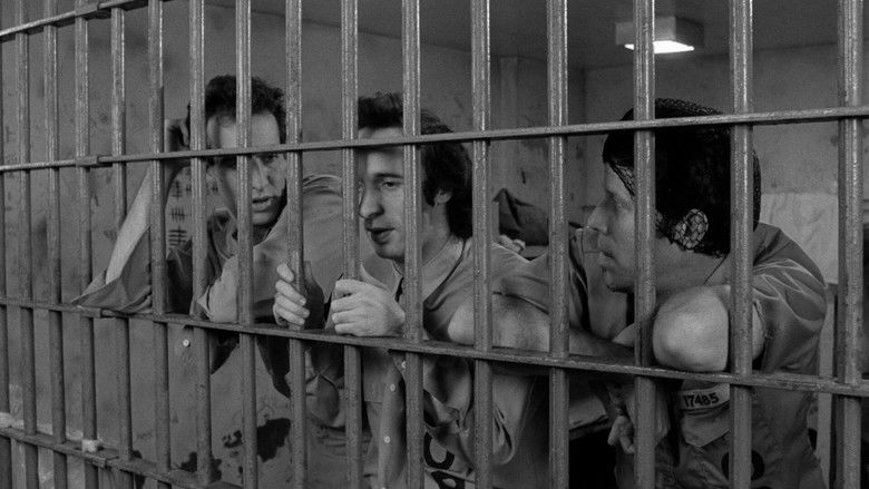 кадр из фильма Вне закона