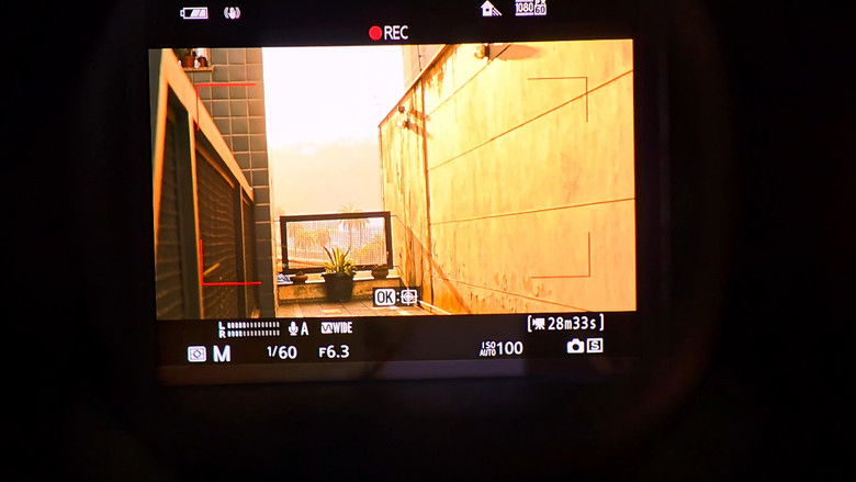 кадр из фильма Eu observo com meus olhos...