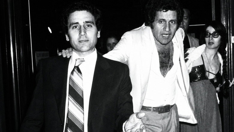 Joe Dassin, des succès et des regrets