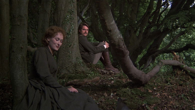 кадр из фильма Женщина французского лейтенанта