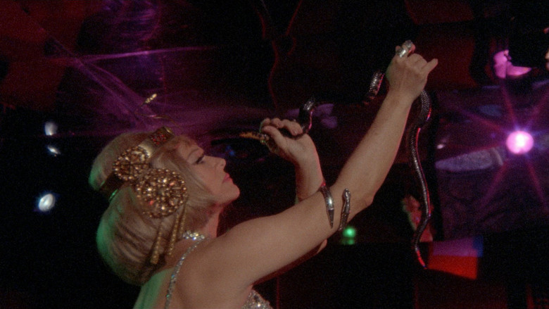 кадр из фильма Stanley