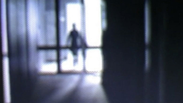 кадр из фильма Hamlet X