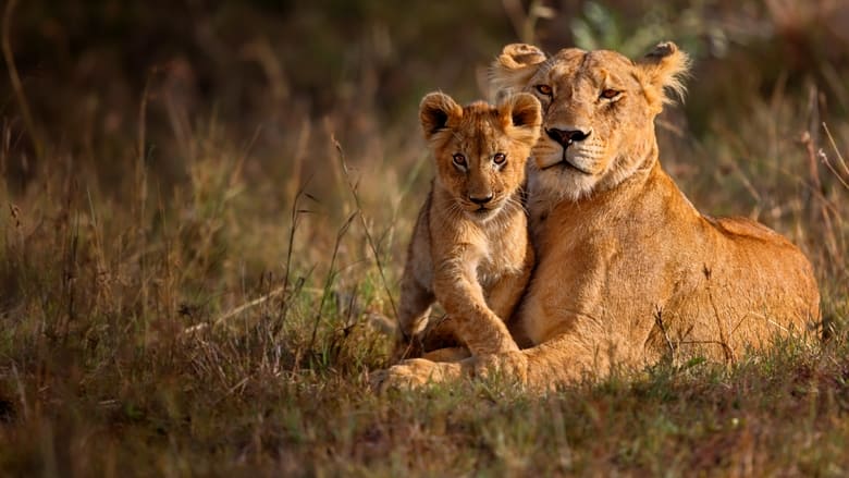 кадр из фильма Львиная династия