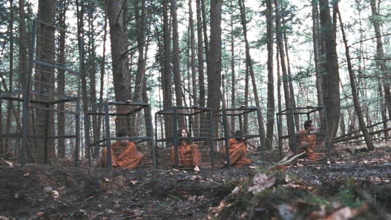 Территории