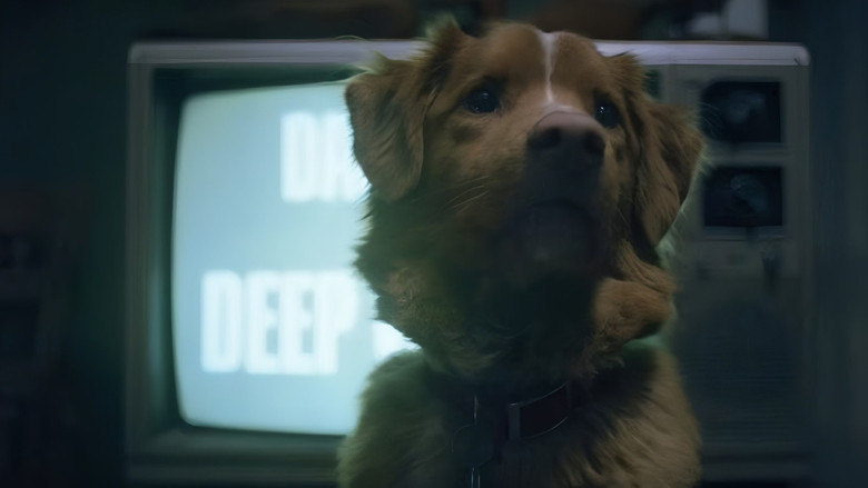 кадр из фильма Хороший мальчик