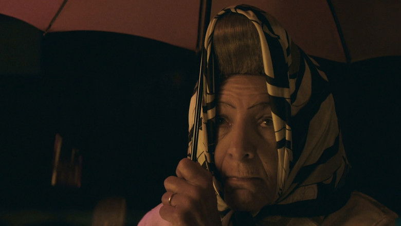 кадр из фильма Playland