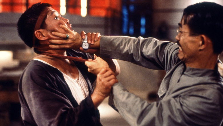 кадр из фильма Восточные кондоры