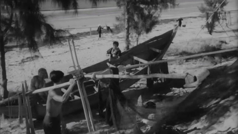 кадр из фильма Женщина с южного берега