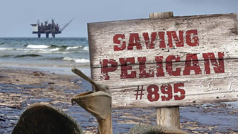 кадр из фильма Saving Pelican 895
