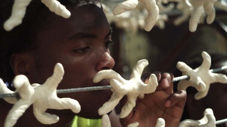 кадр из фильма Black Star