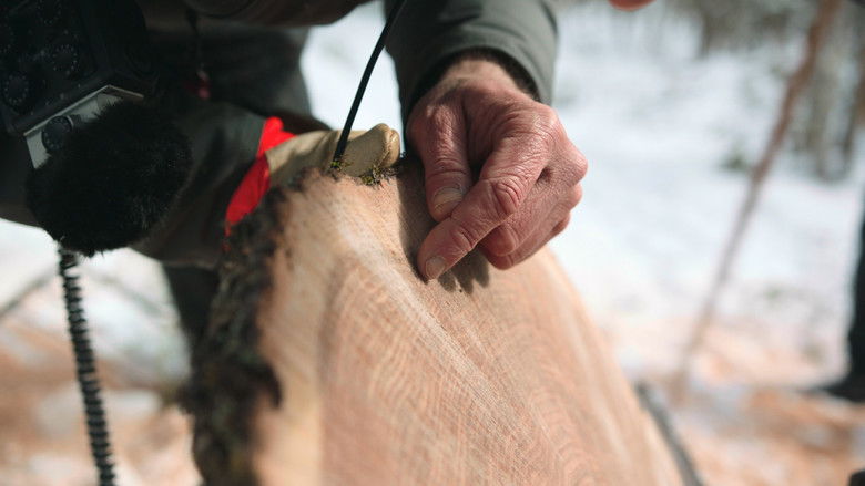 кадр из фильма The Arc of Oblivion