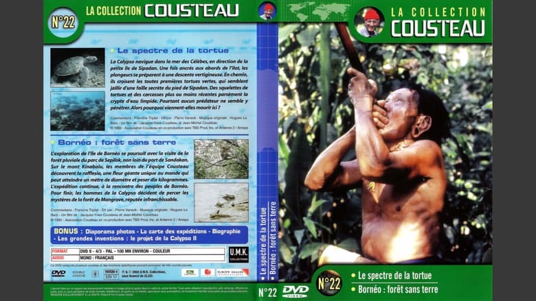 кадр из фильма La collection Cousteau N°22 | Le spectre de la tortue | Bornéo : forêt sans terre