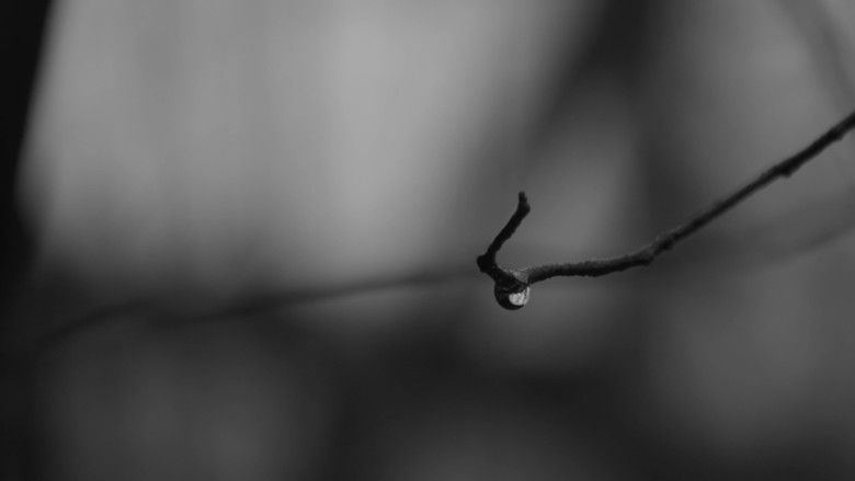 кадр из фильма When the Crows Went Wild