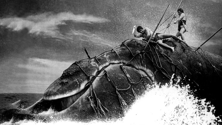 кадр из фильма Бог китов