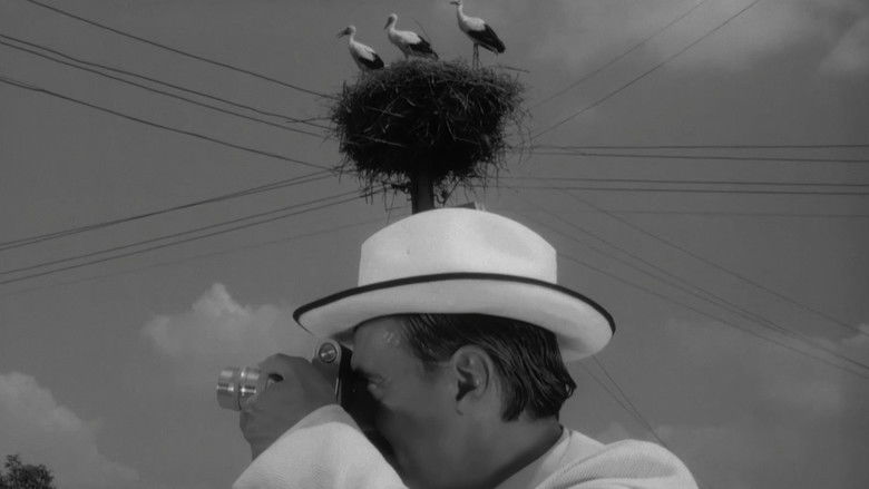 кадр из фильма El acto en cuestión