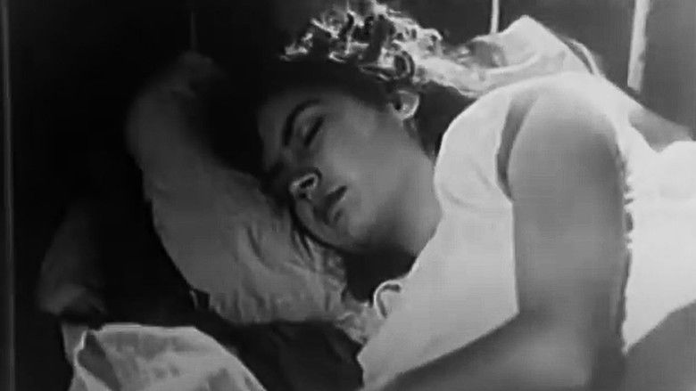 кадр из фильма Aves Sem Ninho