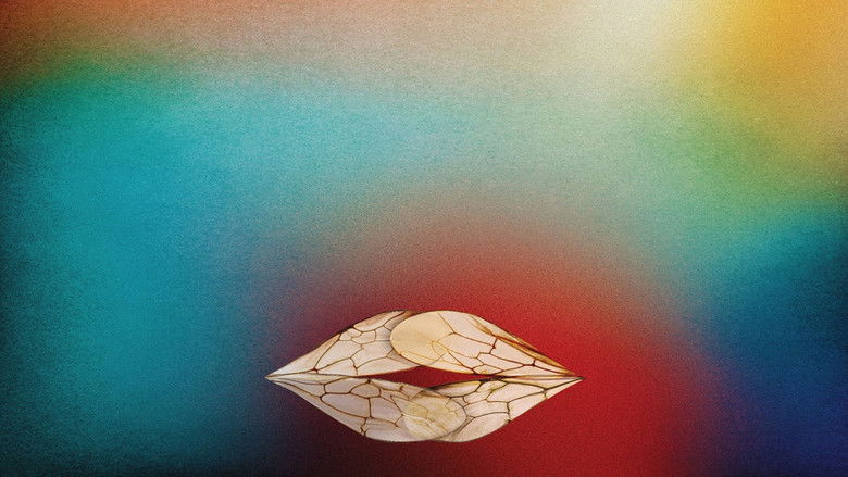 кадр из фильма Бугония