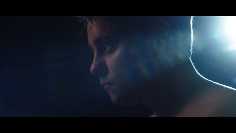 кадр из фильма Roman The Boxer