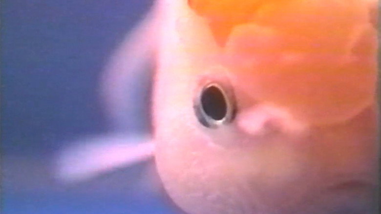 кадр из фильма Sex Fish