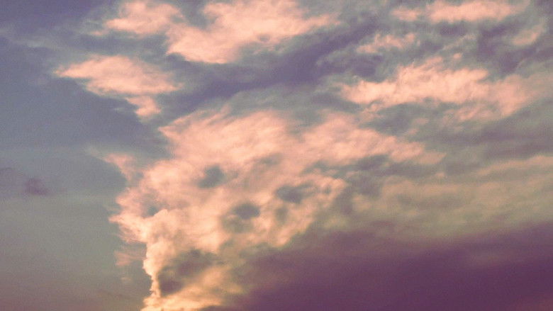 кадр из фильма Native Sun