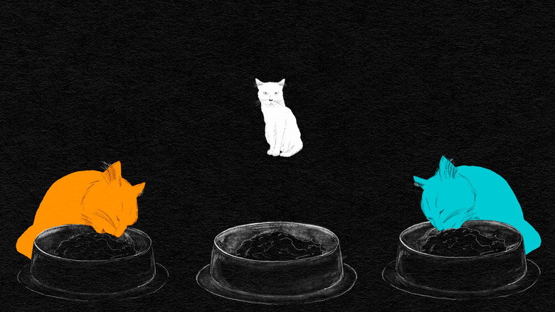 кадр из фильма Armer weisser Kater
