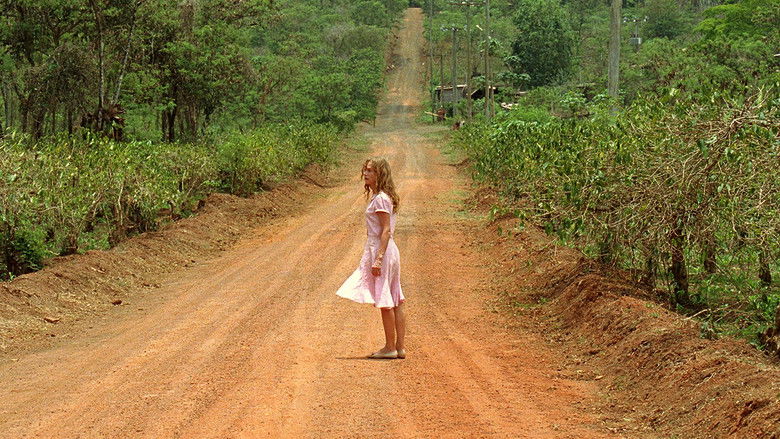 кадр из фильма Белый материал