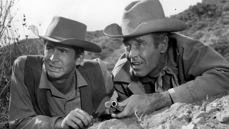 Жестяная звезда